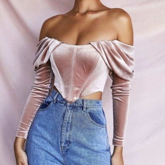 HOUSE OF CB Holly Top Blush Pink Velvet Long Sleeve Corset S Small - Picture 4 of 11